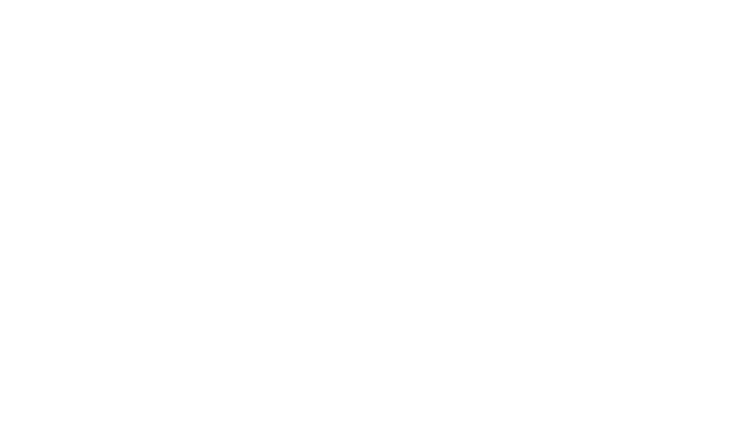 rynox.development